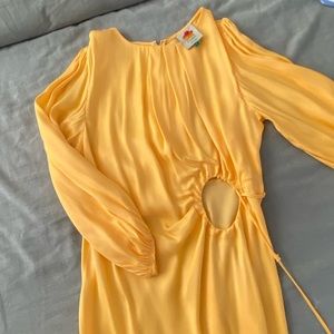Never worn Farm Rio Circle Cut Out Dress